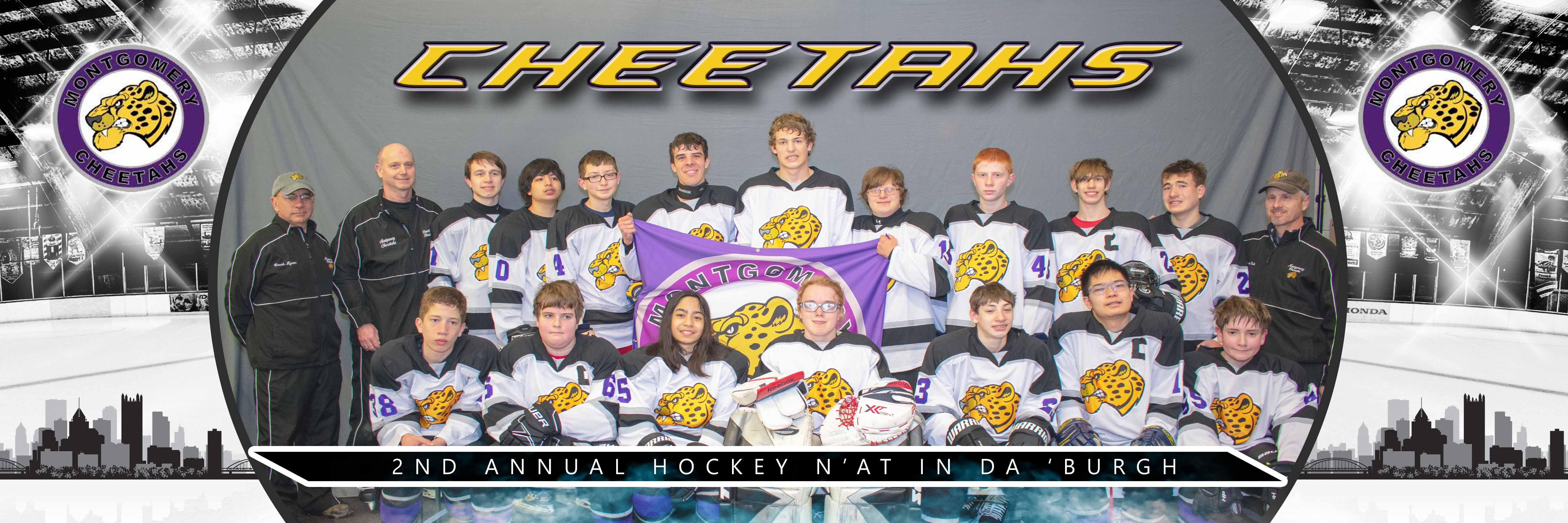 Cheetahs B