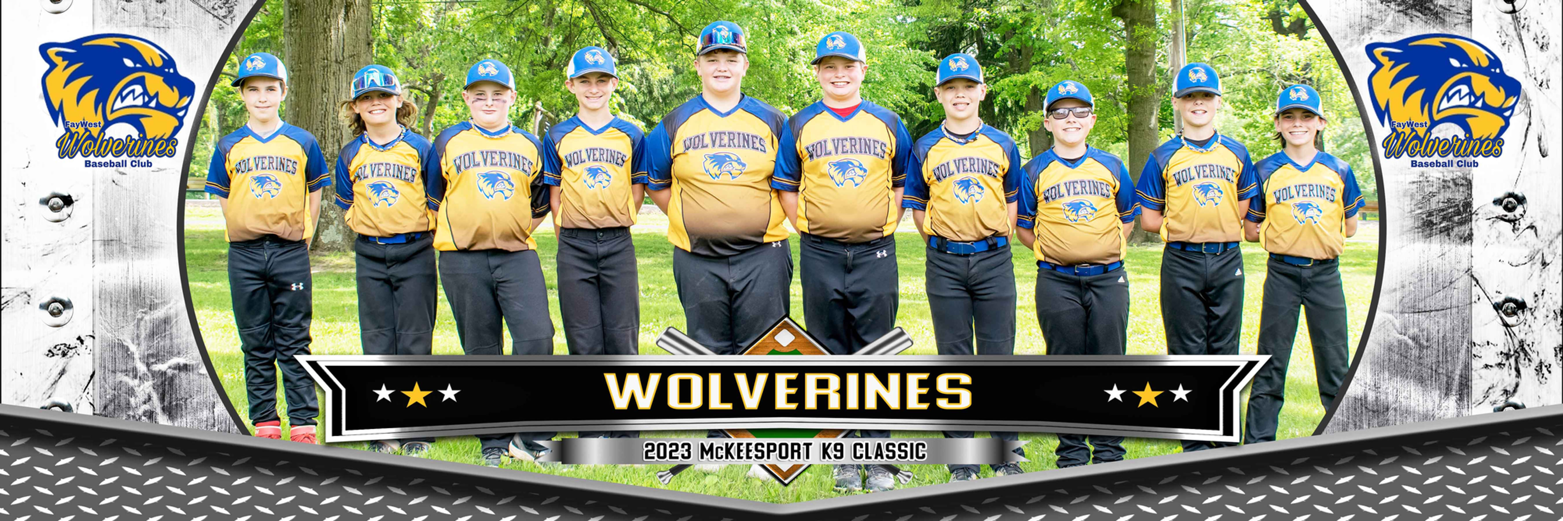 Fay West Wolverines 11U-B