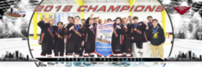 Monroe County Eagles Midget Minor AA Champions