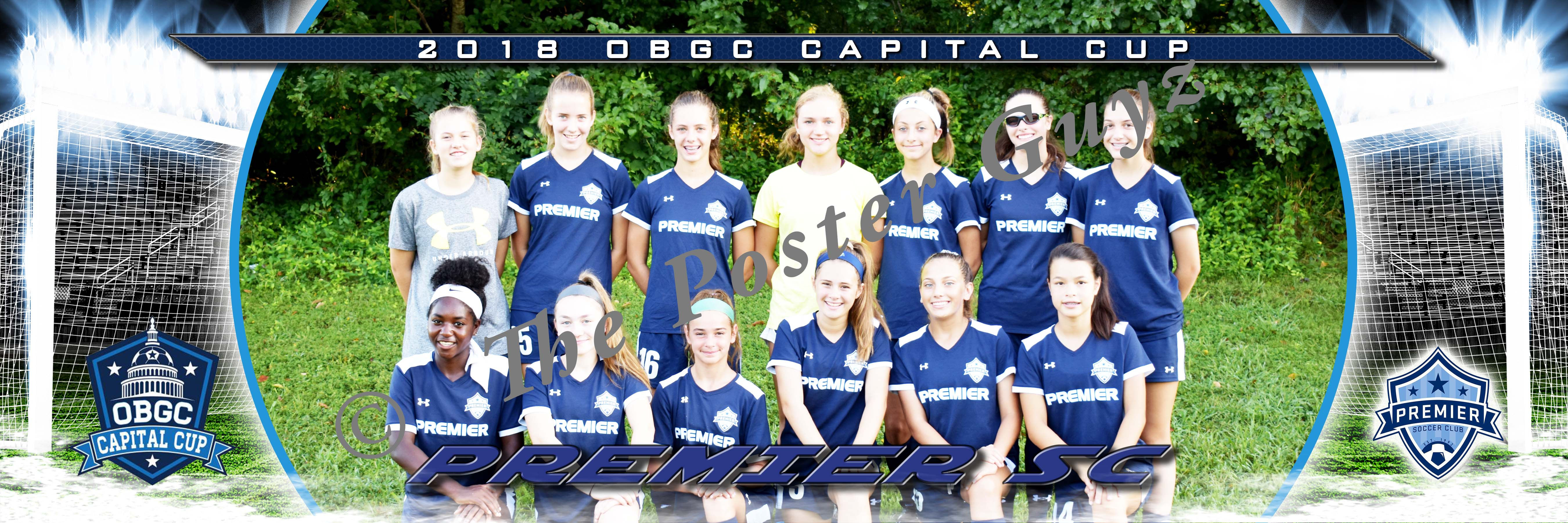 Premier SC Navy 04 U15 Girls