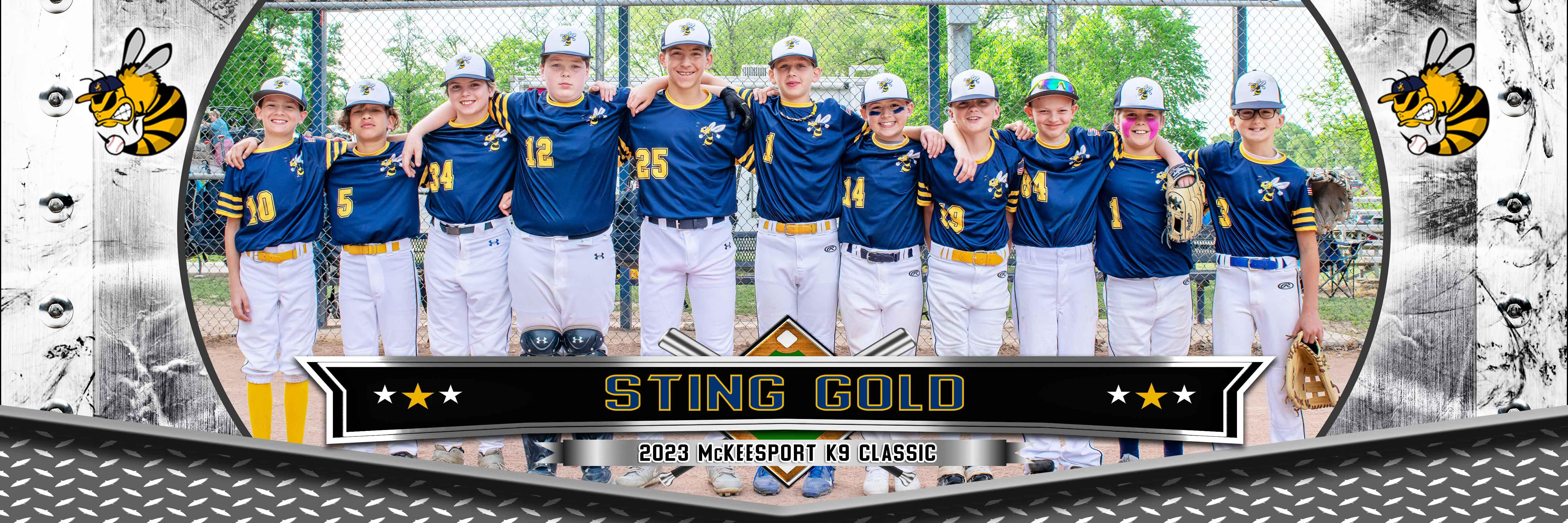 Sting Baseball Gold 11U-A