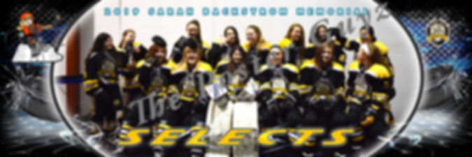 Steel City Selects 16U Rec Funny