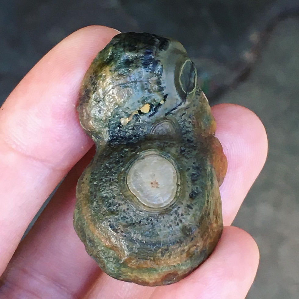 サムネイル： Gobi Agate | 天然石 戈壁瑪瑙 地表 眼睛石 龜 原石 標本