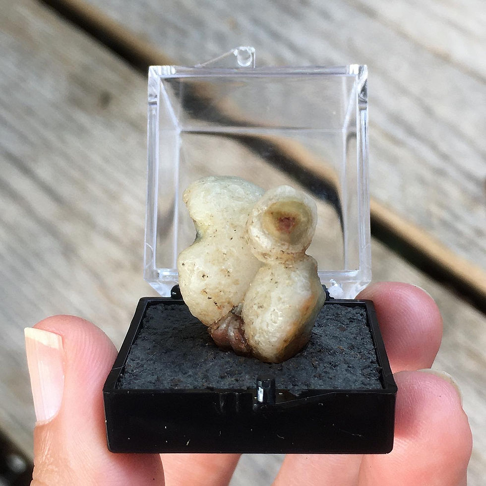 Thumbnail: Gobi Agate | 天然石 戈壁瑪瑙 異形眼石 原石 松鼠