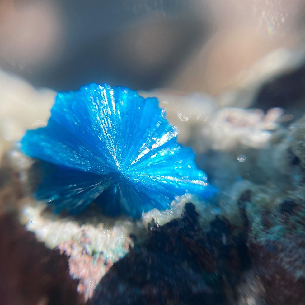 Thumbnail: Cavansite | 印度 水硅矾鈣 沸石 共生