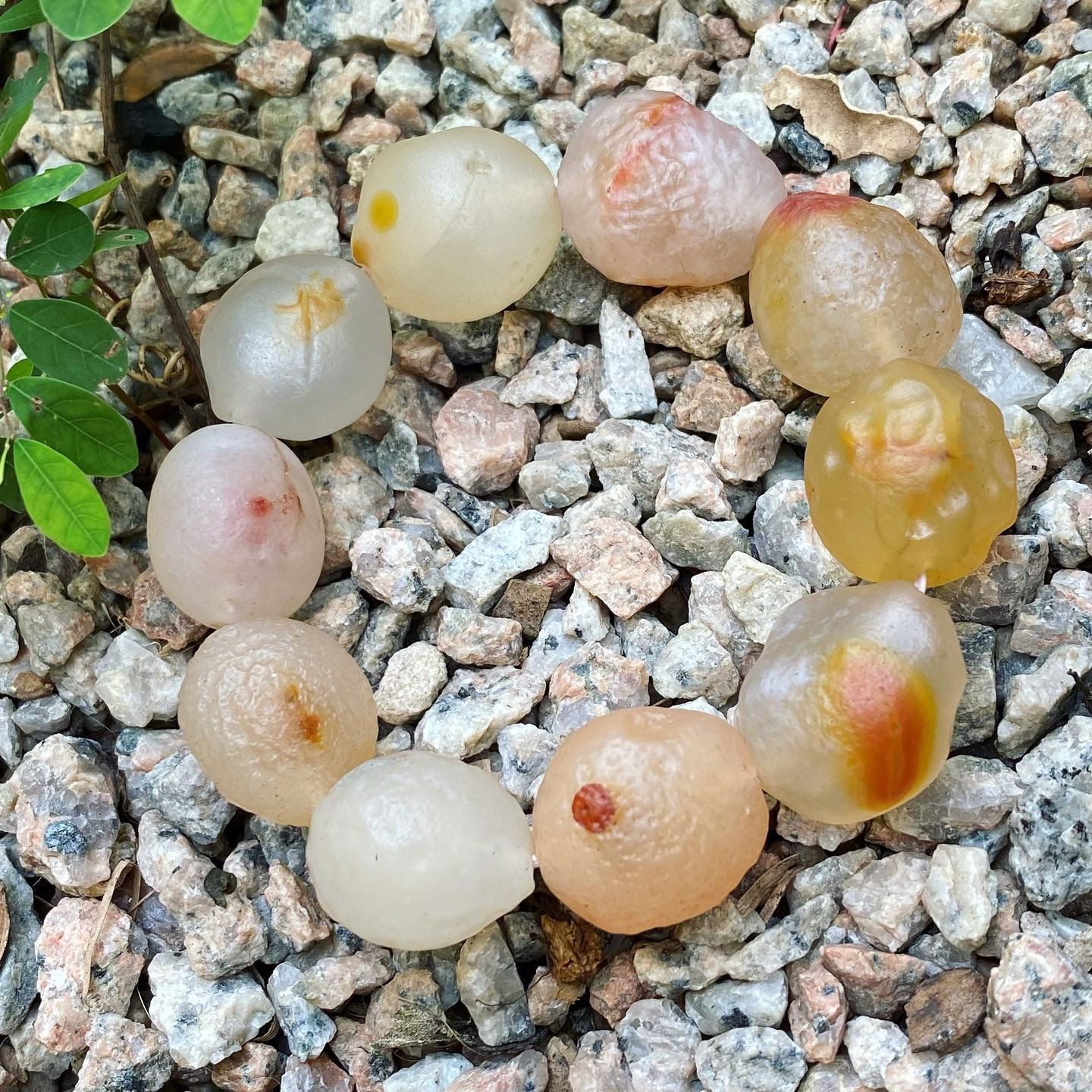 Gobi Agate | 大尺寸 戈壁瑪瑙 金魚 手鏈