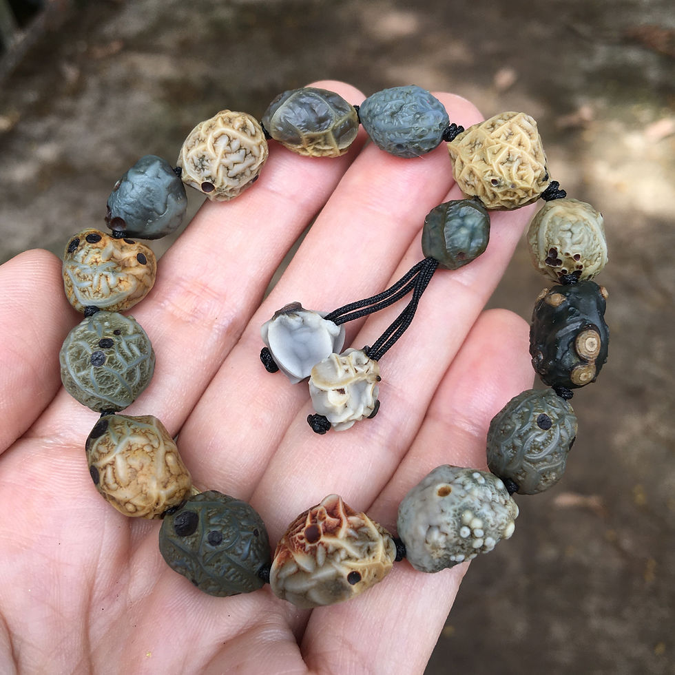 縮圖：Coming Soon | Gobi Agate | 天然原石 戈壁瑪瑙 筋脈 眼睛石 共生 手鏈
