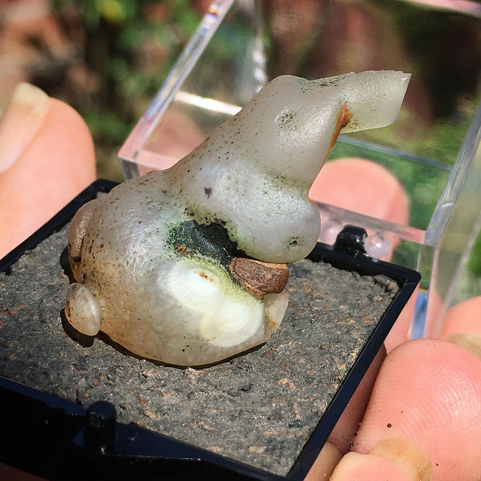 Thumbnail: Gobi Agate | 天然石 眼石 戈壁瑪瑙 原石 象形 小象