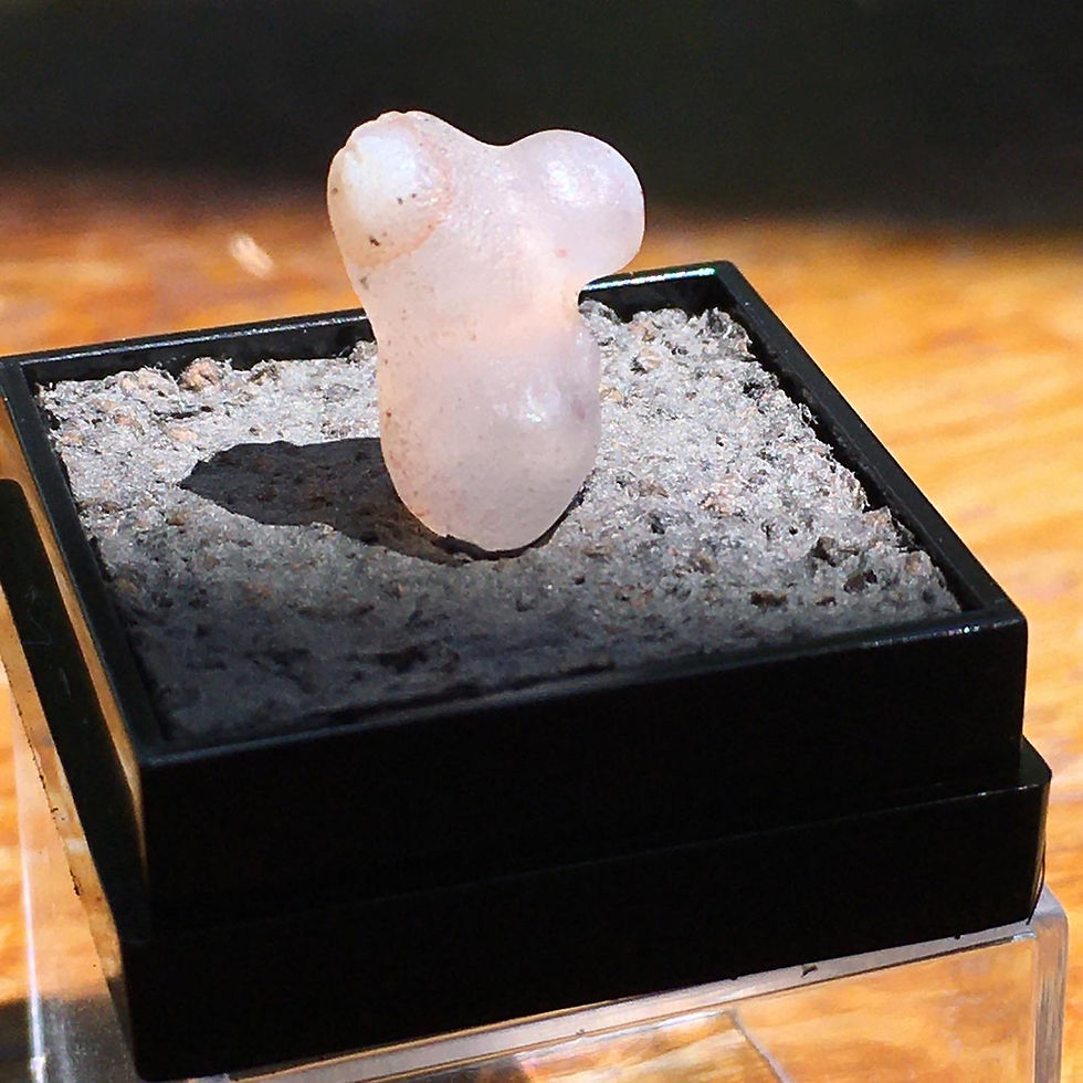 縮圖：Gobi Agate | 天然石 粉草莓 糖果 戈壁瑪瑙 原石 象形 白老鼠