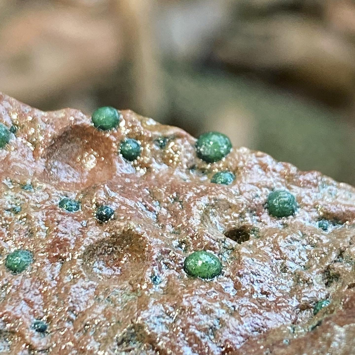 Gobi Agate | 戈壁瑪瑙 富貴石 原石 標本