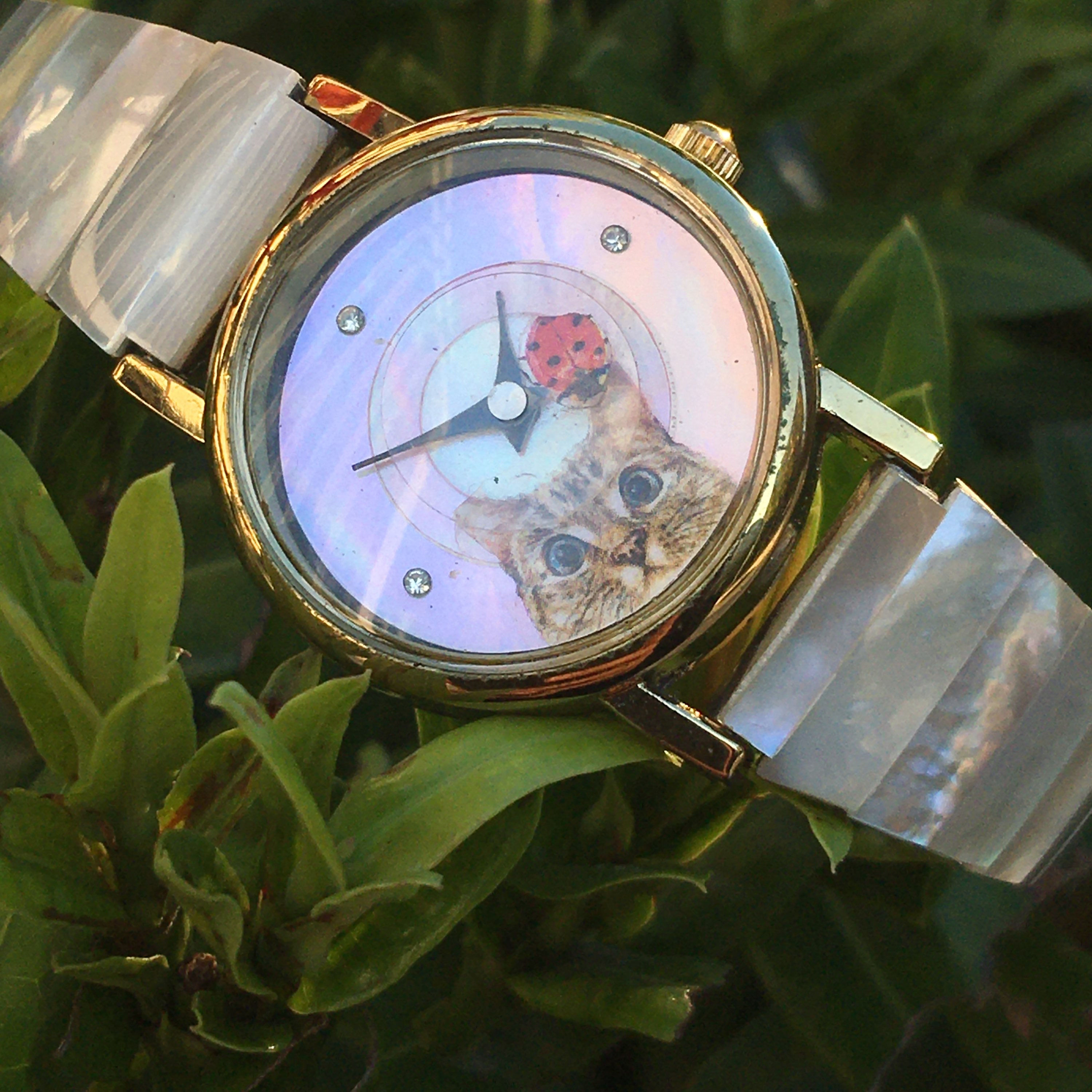 Mother of pearl | 天然石 飛舞的甲虫 貝母 貓咪 手錶
