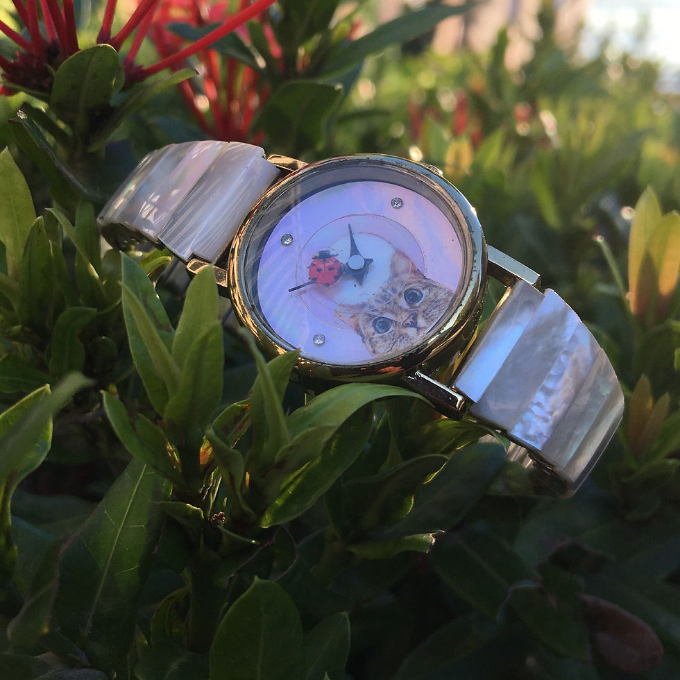 縮圖：Mother of pearl | 天然石 飛舞的甲虫 貝母 貓咪 手錶