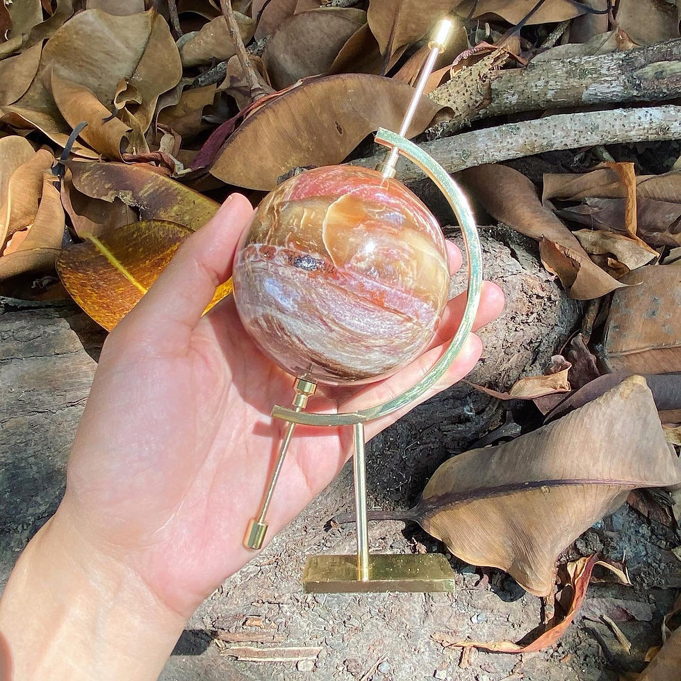 サムネイル： 木化石 木星 地球儀