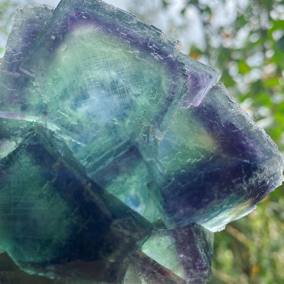 縮圖：Coming Soon | Fluorite, Fujian | 老品種 窗框 綠螢石