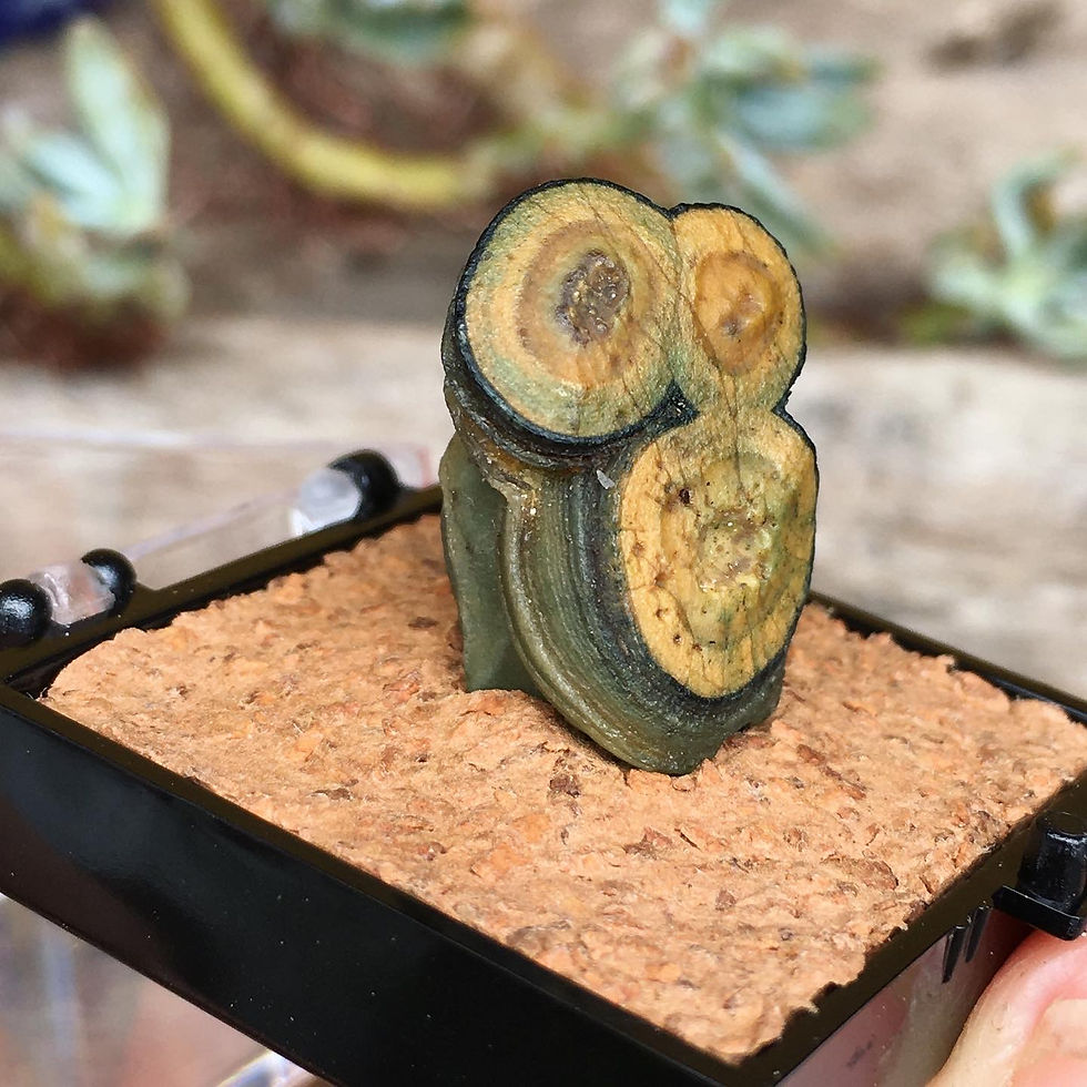 Thumbnail: Gobi Agate | 天然石 綠眼石 戈壁瑪瑙 原石 青蛙