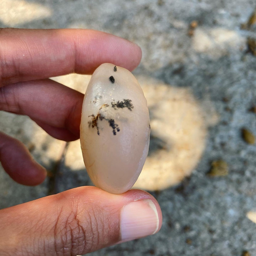 縮圖：Gobi Agate | 戈壁石 水草花 月亮 原石