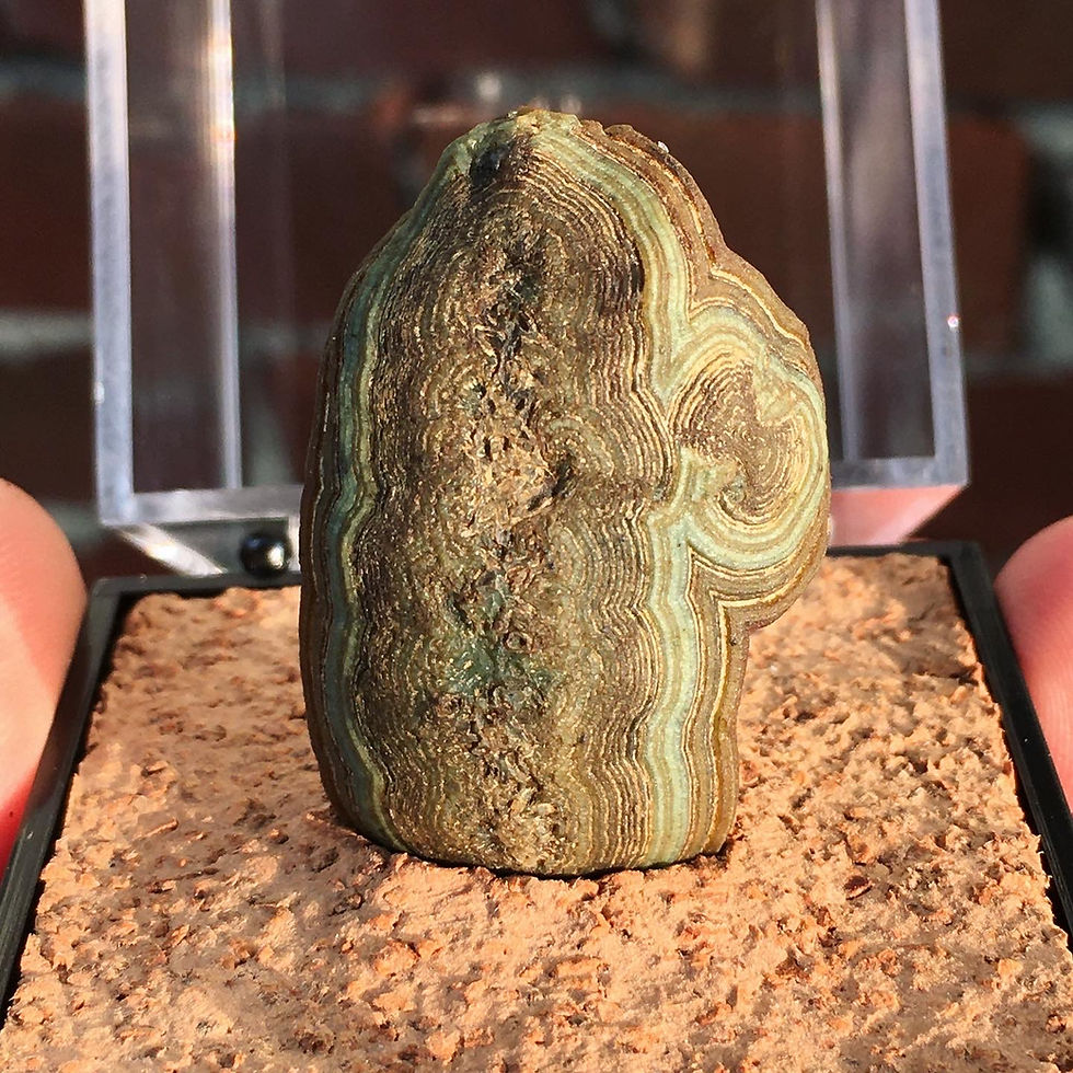縮圖：Gobi Agate | 天然石 戈壁瑪瑙 串形 綠眼石 原石 仙人掌