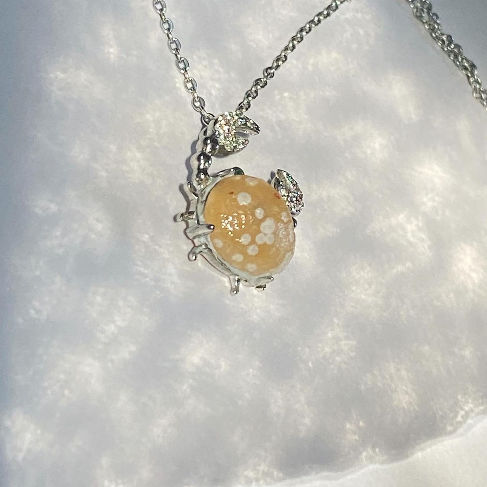 縮圖：Gobi  Agate| 戈壁瑪瑙 螃蟹 頸鏈 GB26