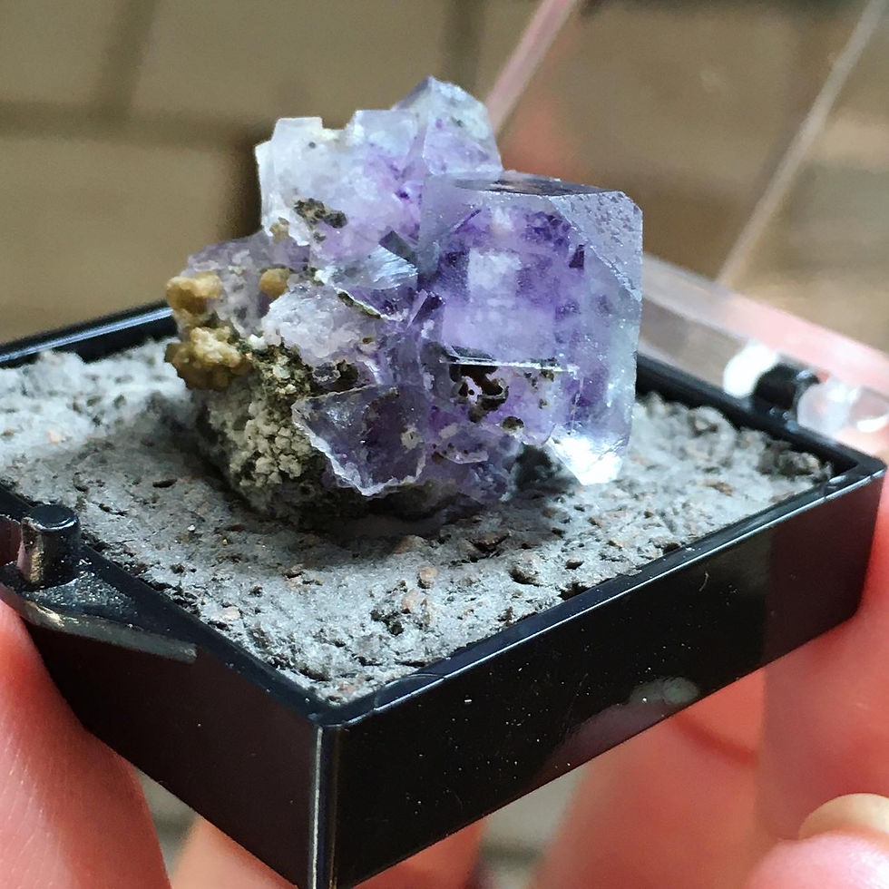 Thumbnail: Fluorite , Inner Mongolia | 內包裹 窗框 紫螢石 標本