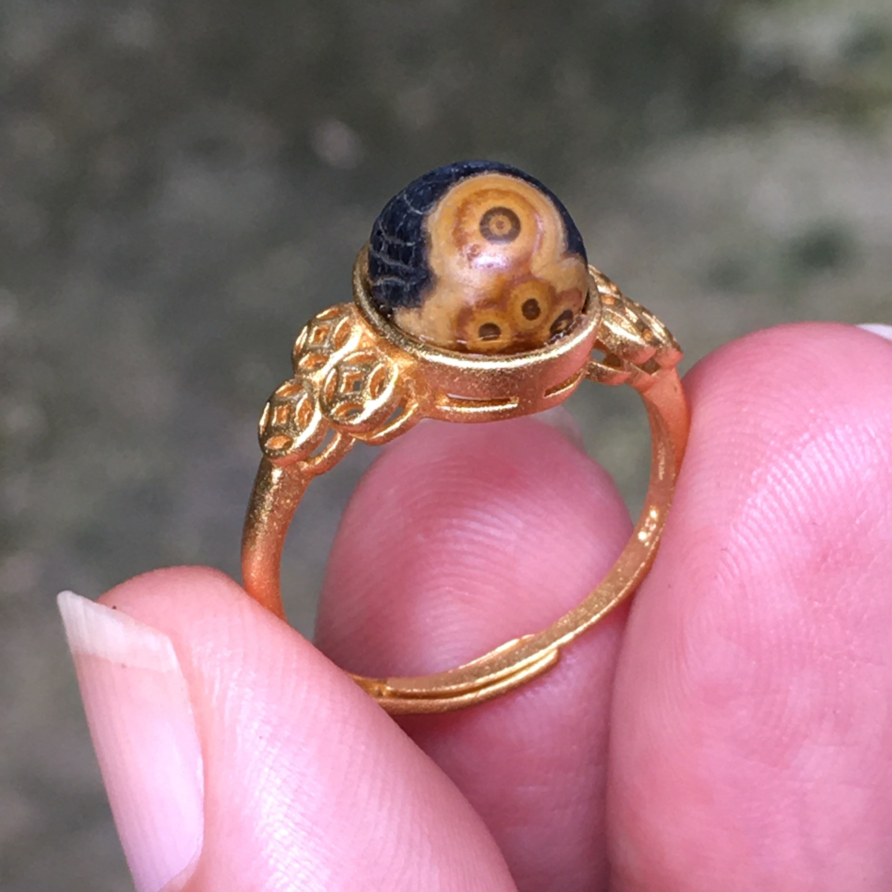 Gobi Agate | 天然原石 戈壁石 眼睛石 錢幣山 指環