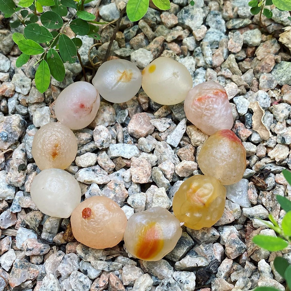 Thumbnail: Gobi Agate | 大尺寸 戈壁瑪瑙 金魚 手鏈