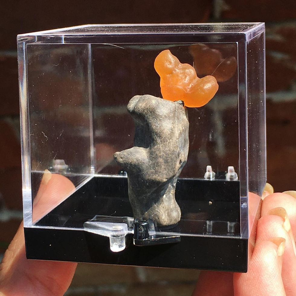 Thumbnail: Gobi Agate | 天然石 戈壁瑪瑙 糖果 木化石 松鼠 原石 標本 