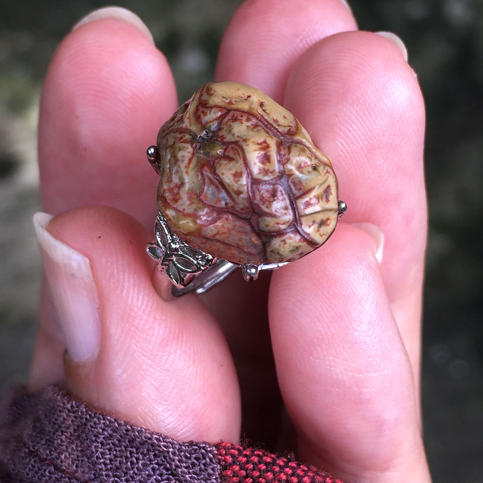 縮圖：Gobi Agate | 天然原石 戈壁石  紅色鐵線 指環