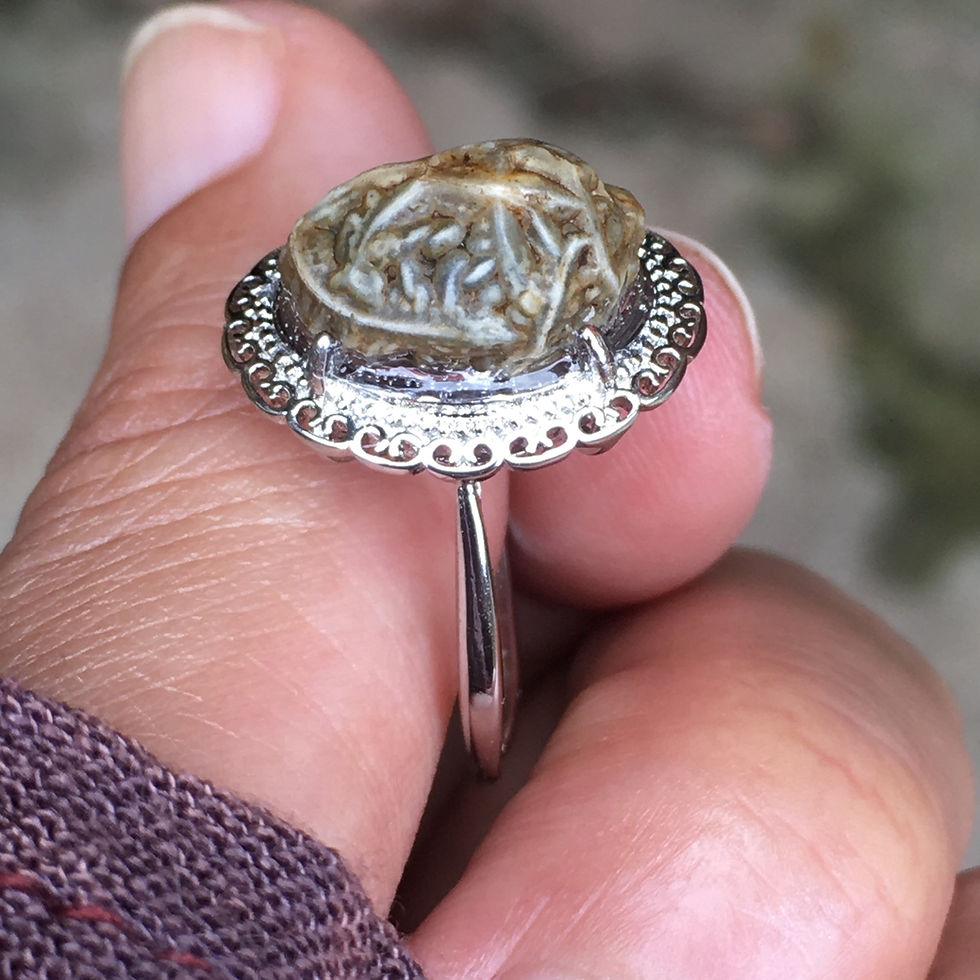 サムネイル： Gobi Agate | 天然原石 戈壁石 粗紋 灰筋脈 指環