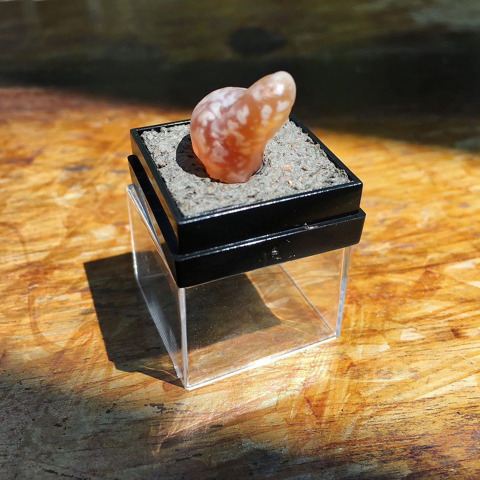 サムネイル： Gobi Agate | 天然石 糖心 內包裹 花眼 戈壁瑪瑙 原石 小水怪