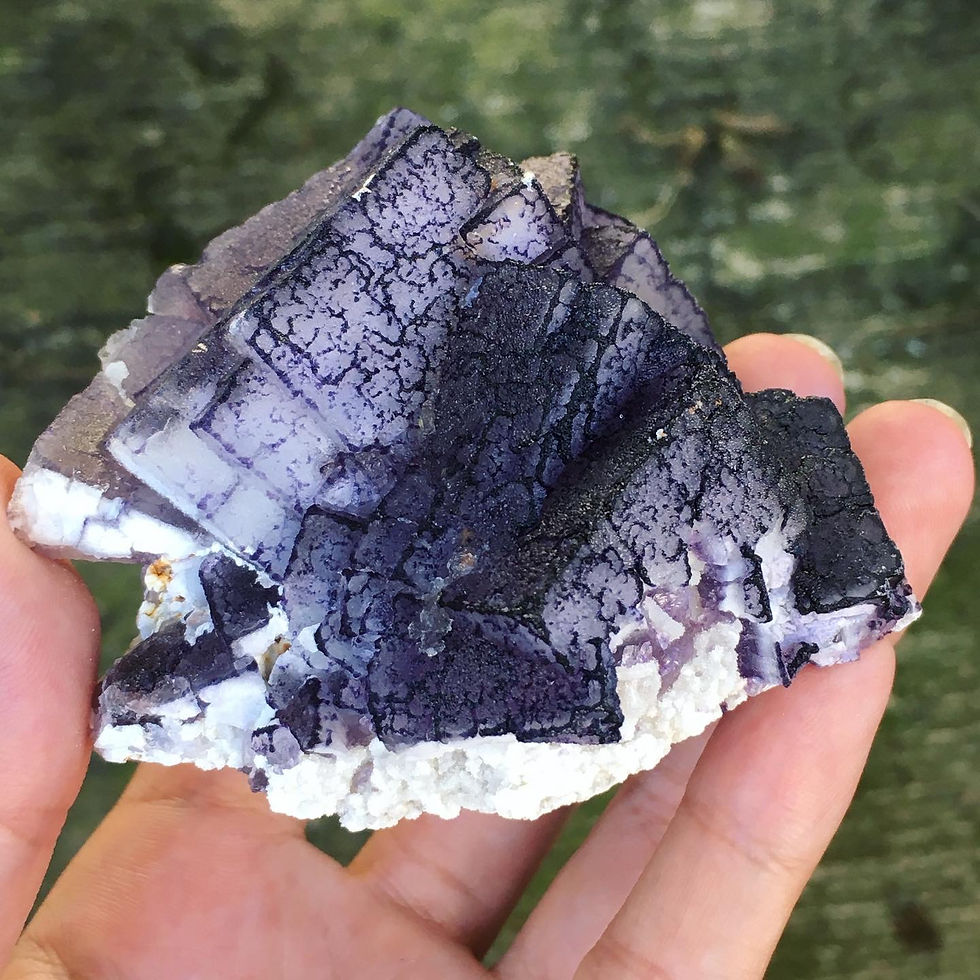 縮圖：Coming Soon | QR Code Fluorite, Guizhou | 大晶體 貴州 二維碼 紫螢石 的副本