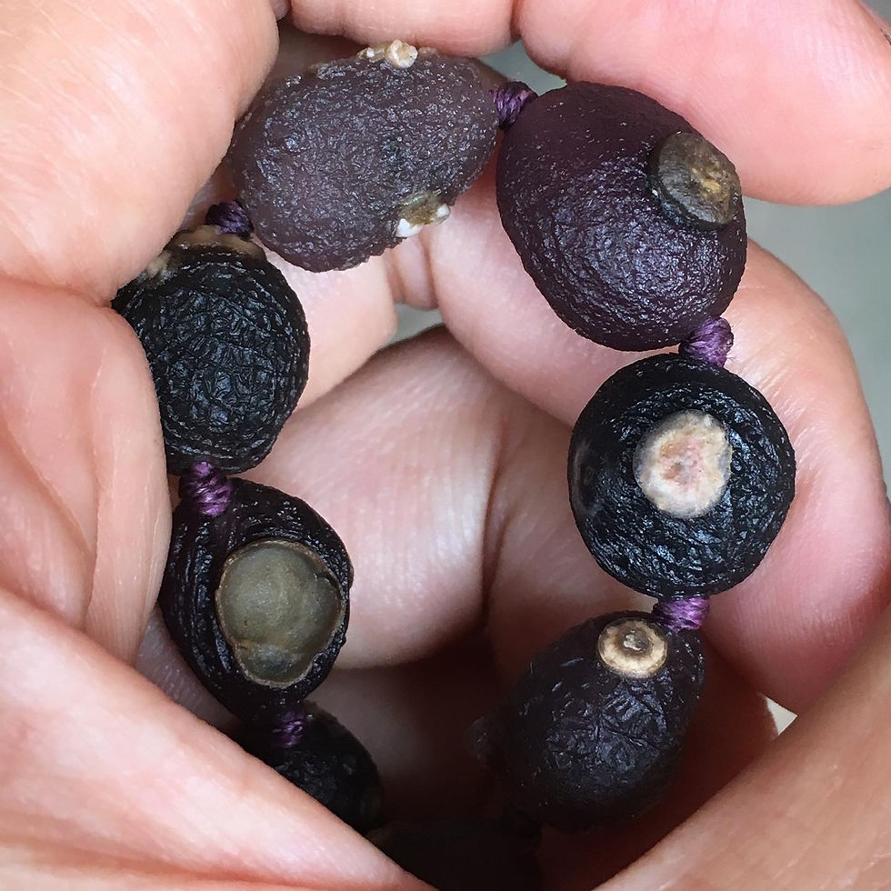 サムネイル： Gobi Agate | 天然原石 紫脈 眼睛石 戈壁瑪瑙 手鏈