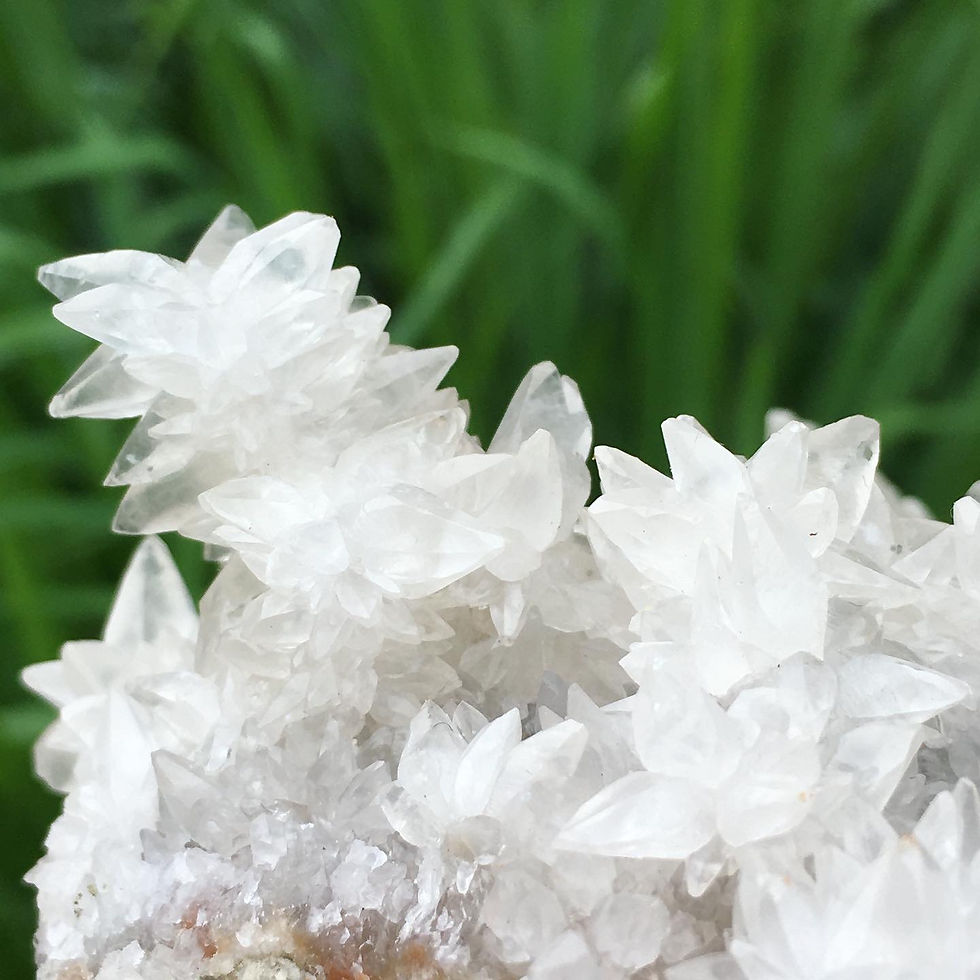 縮圖：Coming soon | Dinosaur Calcite | 恐龍 小火龍 花形 方解石