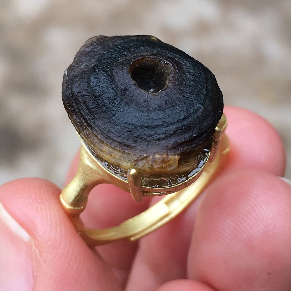 縮圖：Gobi Agate | 天然原石 戈壁石 黑窩窩 眼睛石 指環