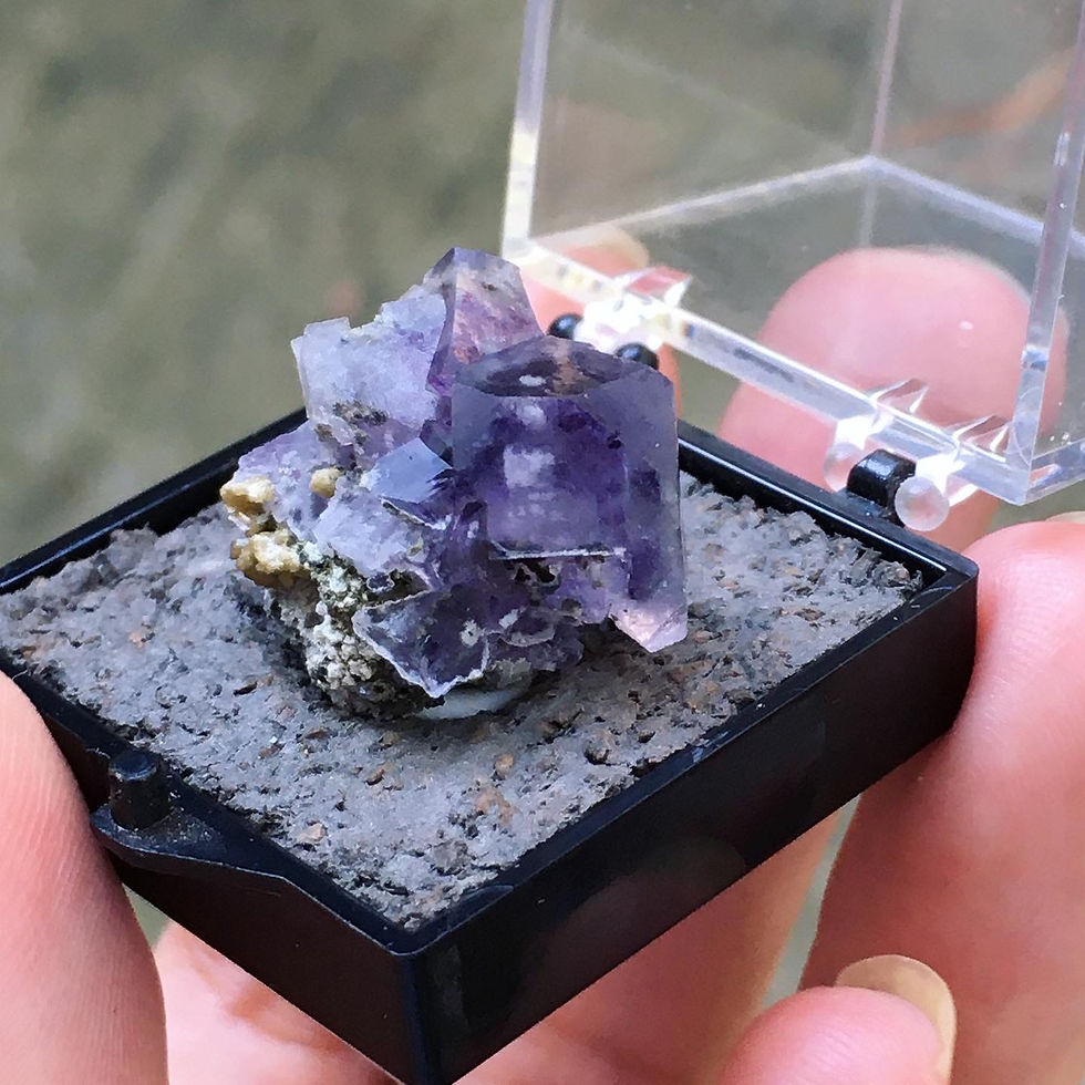 Thumbnail: Fluorite , Inner Mongolia | 內包裹 窗框 紫螢石 標本