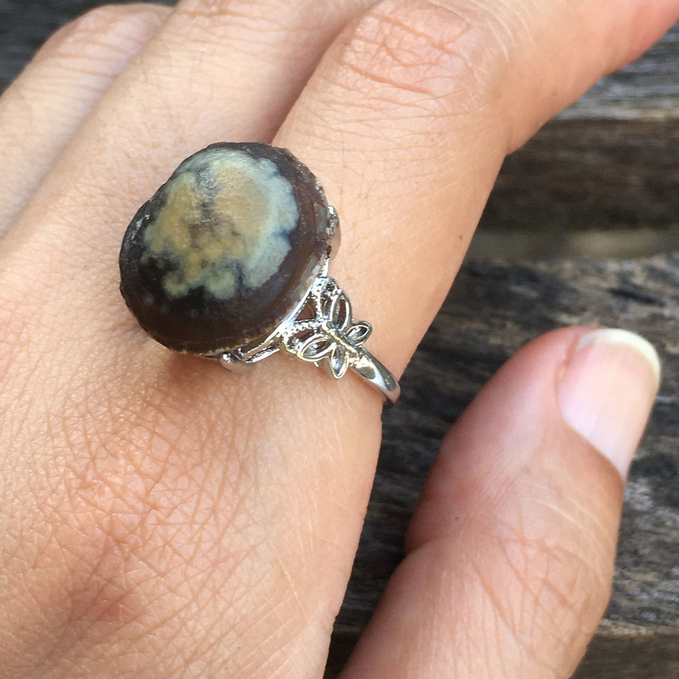サムネイル： Gobi Agate | 天然原石 花影 戈壁石 指環