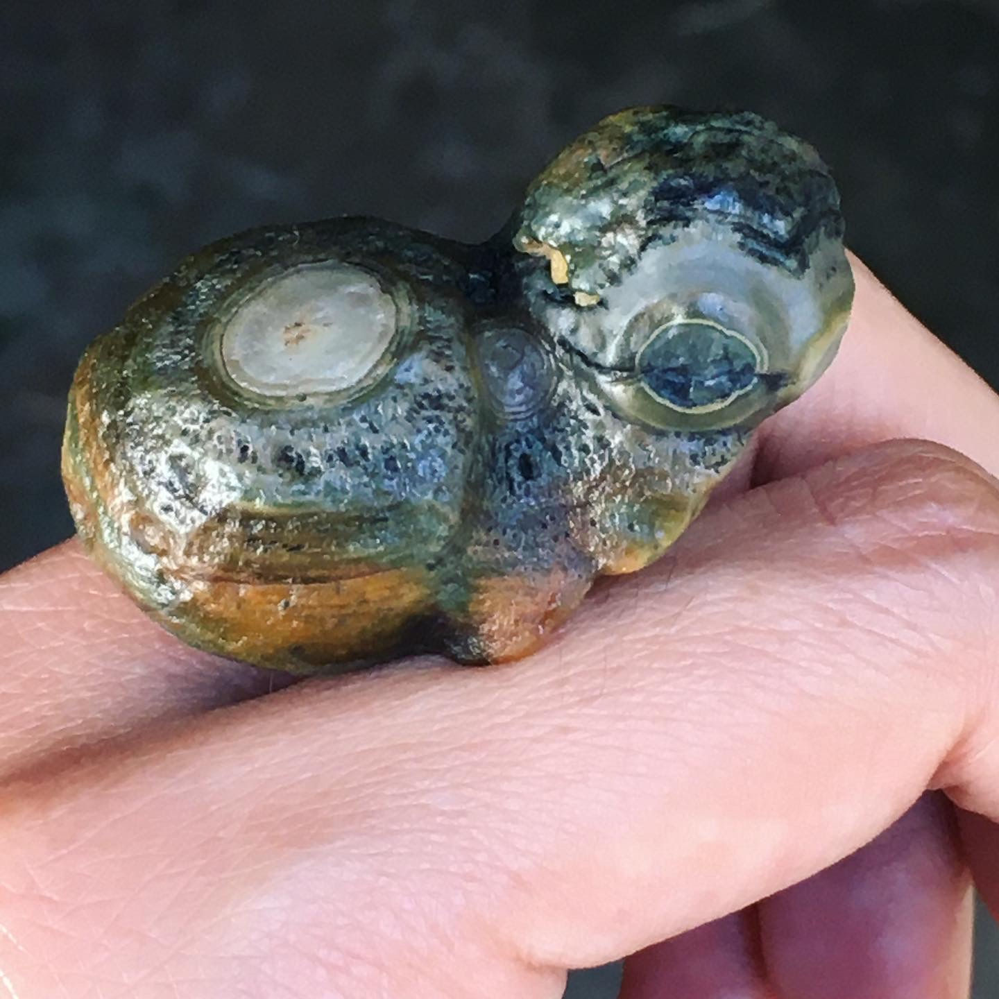 Gobi Agate | 天然石 戈壁瑪瑙 地表 眼睛石 龜 原石 標本