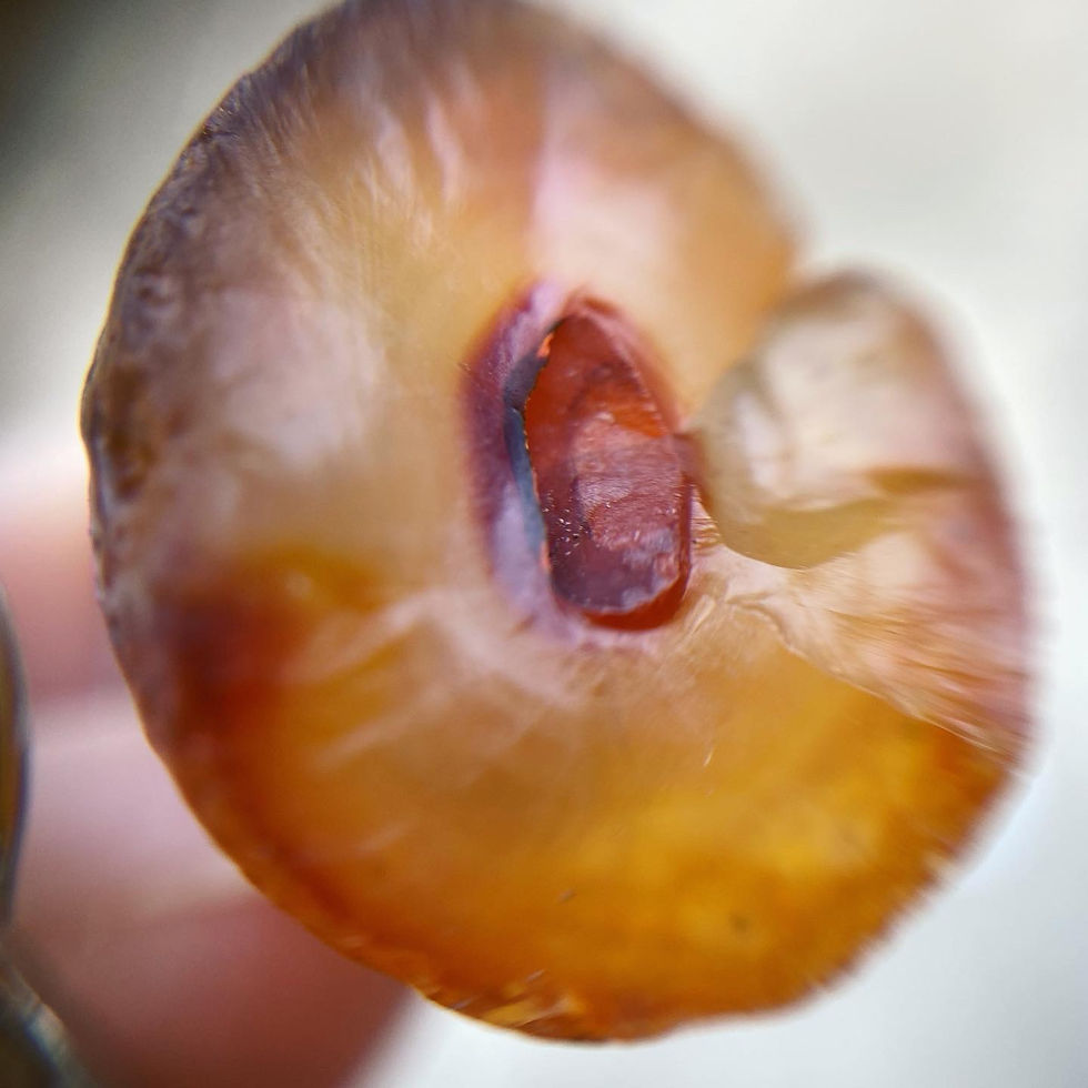Thumbnail: Gobi  Agate| 戈壁瑪瑙 花 指環