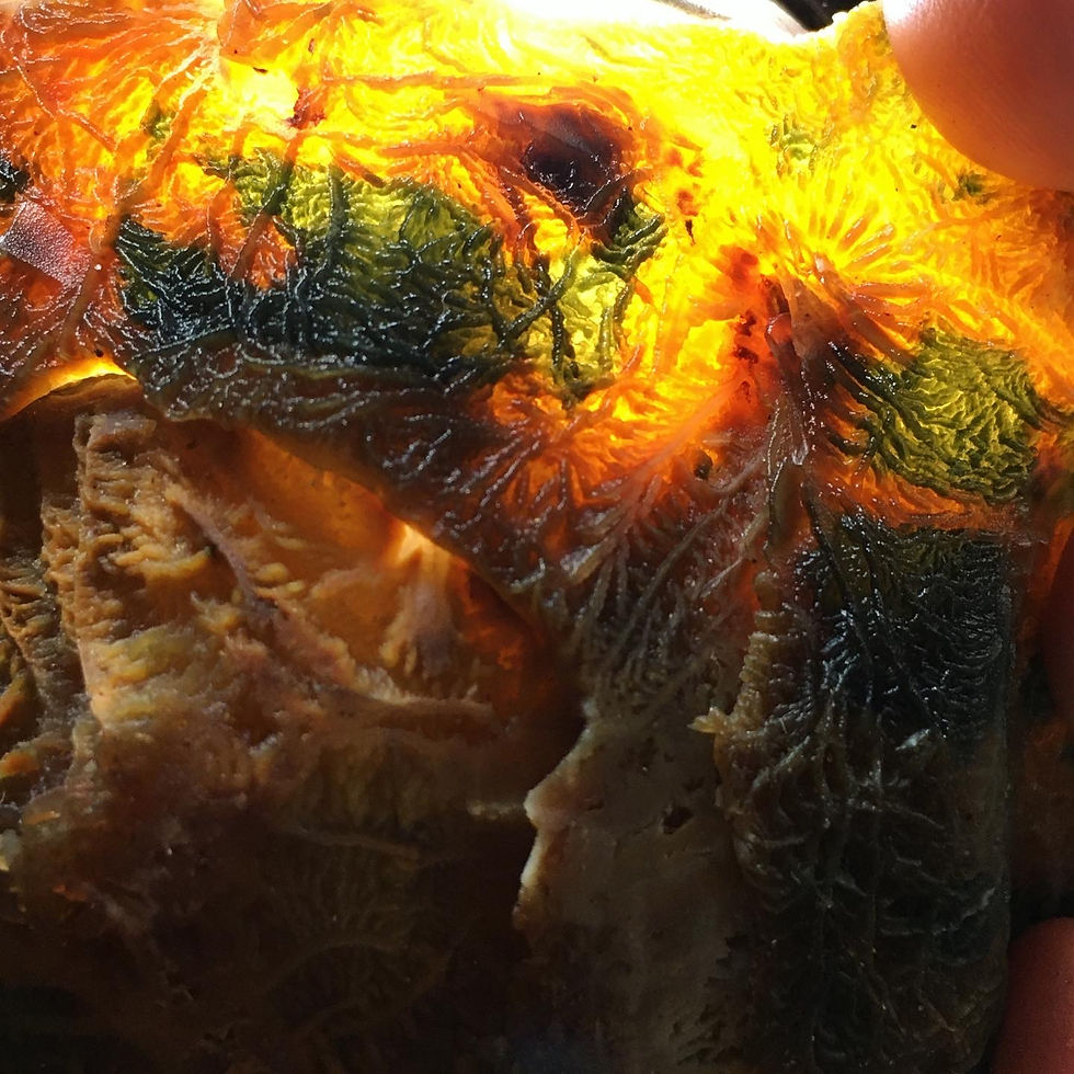 Thumbnail: Gobi Agate | 天然石 黑山瑪瑙 戈壁石 三層 象形 螺