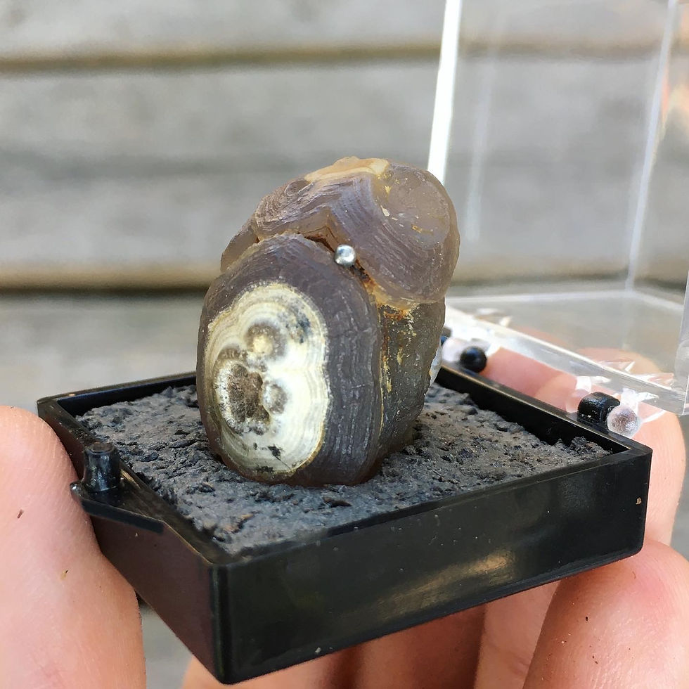 サムネイル： Gobi Agate | 天然石 戈壁瑪瑙 地表 灰紫眼石 原石 標本