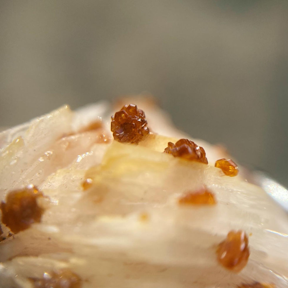 縮圖：Vanadinite on Barite | 花形 鑽石級 釩鉛礦 標本 頸鏈 MIN40