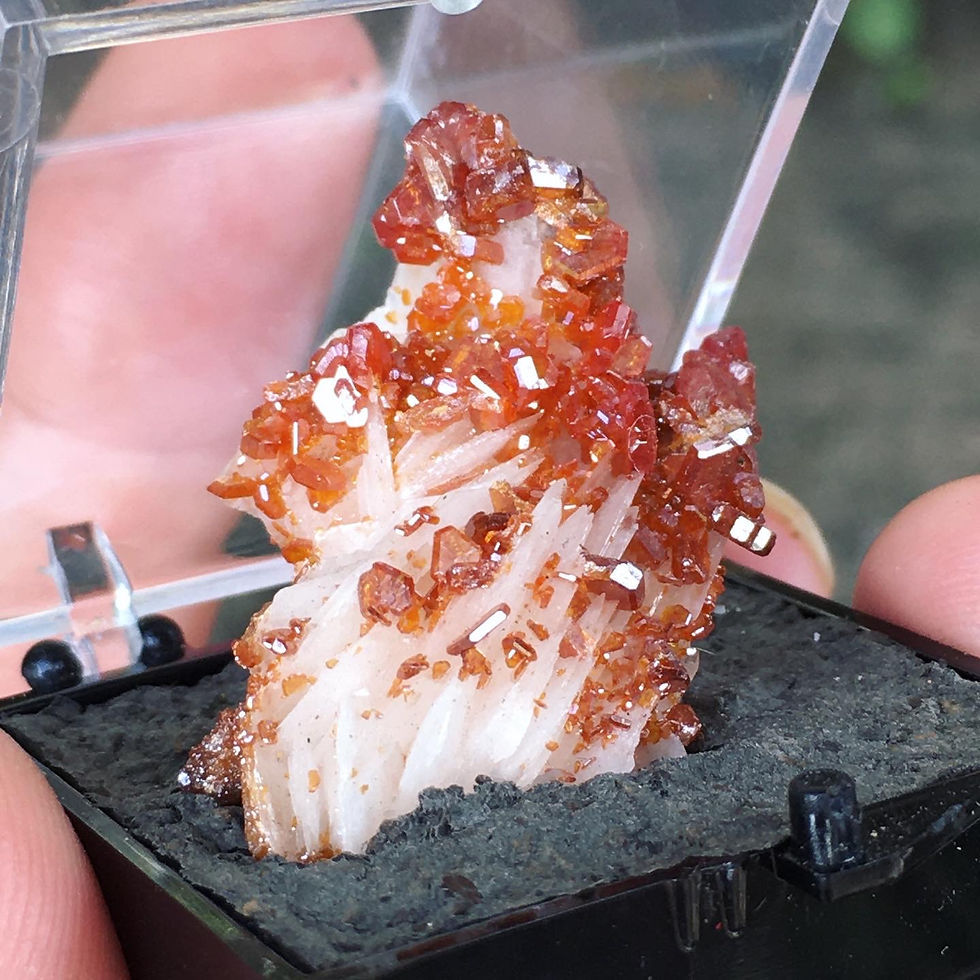 サムネイル： Vanadinite on Barite | 閃耀 艷紅 通透 釩鉛礦 長石 共生 標本