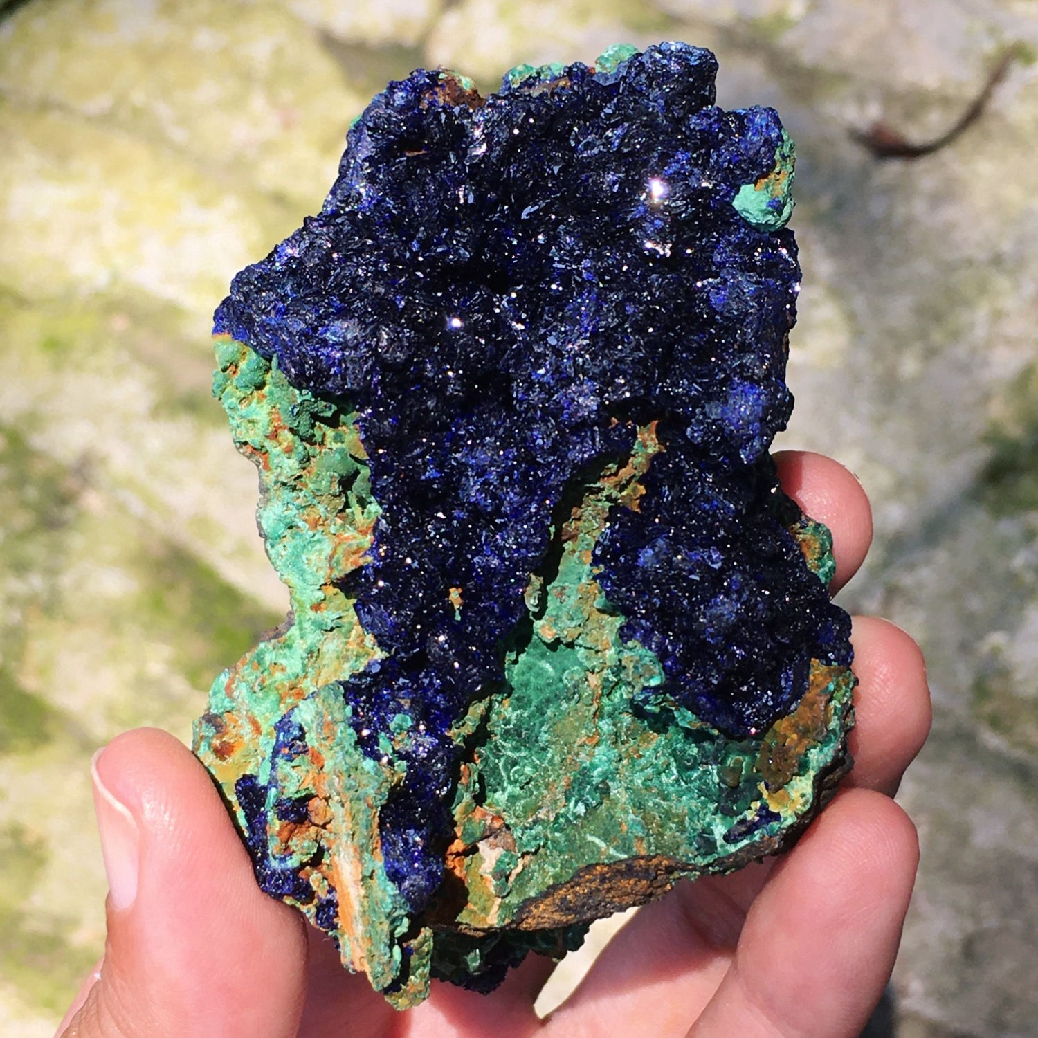 Azurite with Malachite | 片狀 藍銅礦 孔雀石 共生 標本