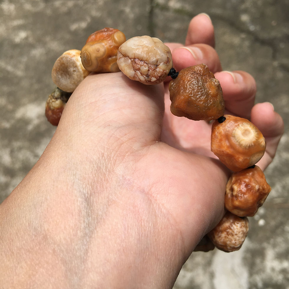 Thumbnail: Coming Soon | Gobi Agate | 天然原石 戈壁瑪瑙 血脈 眼睛石 共生 手鏈
