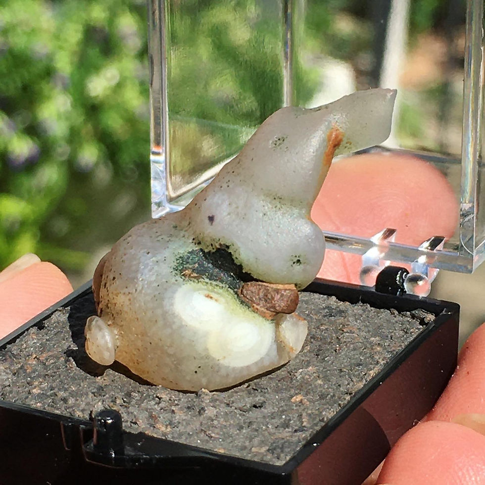 縮圖：Gobi Agate | 天然石 眼石 戈壁瑪瑙 原石 象形 小象