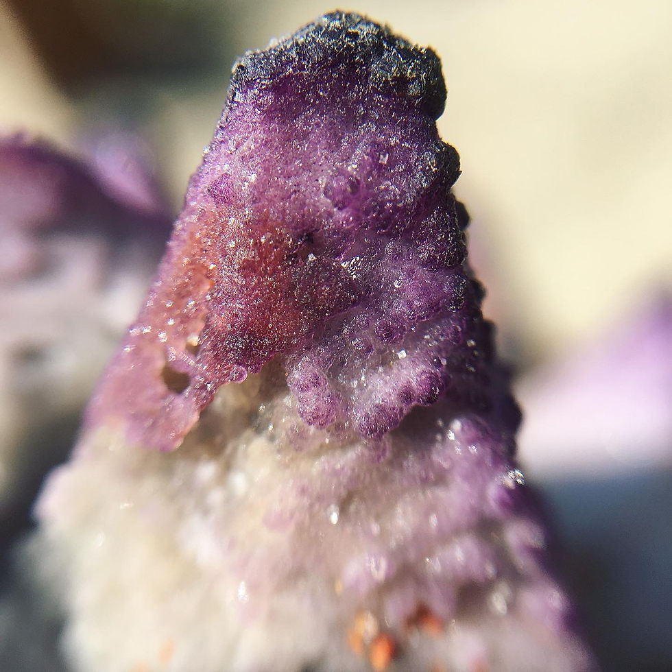 縮圖：Yttrofluorite on Calcite | 釔螢石 方解石 標本