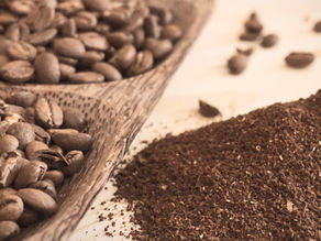 2ème escale : l'Éthiopie, berceau du café en grains.