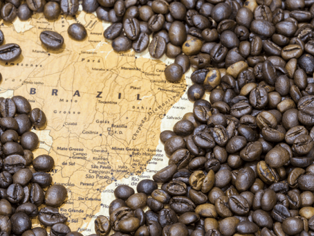 Départ direction le Brésil : 1er pays producteur de cafés grains !