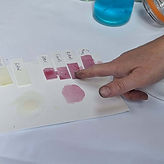 805d48ef-5dfa-4021-b5a9-6f30c02f1765.jpg
