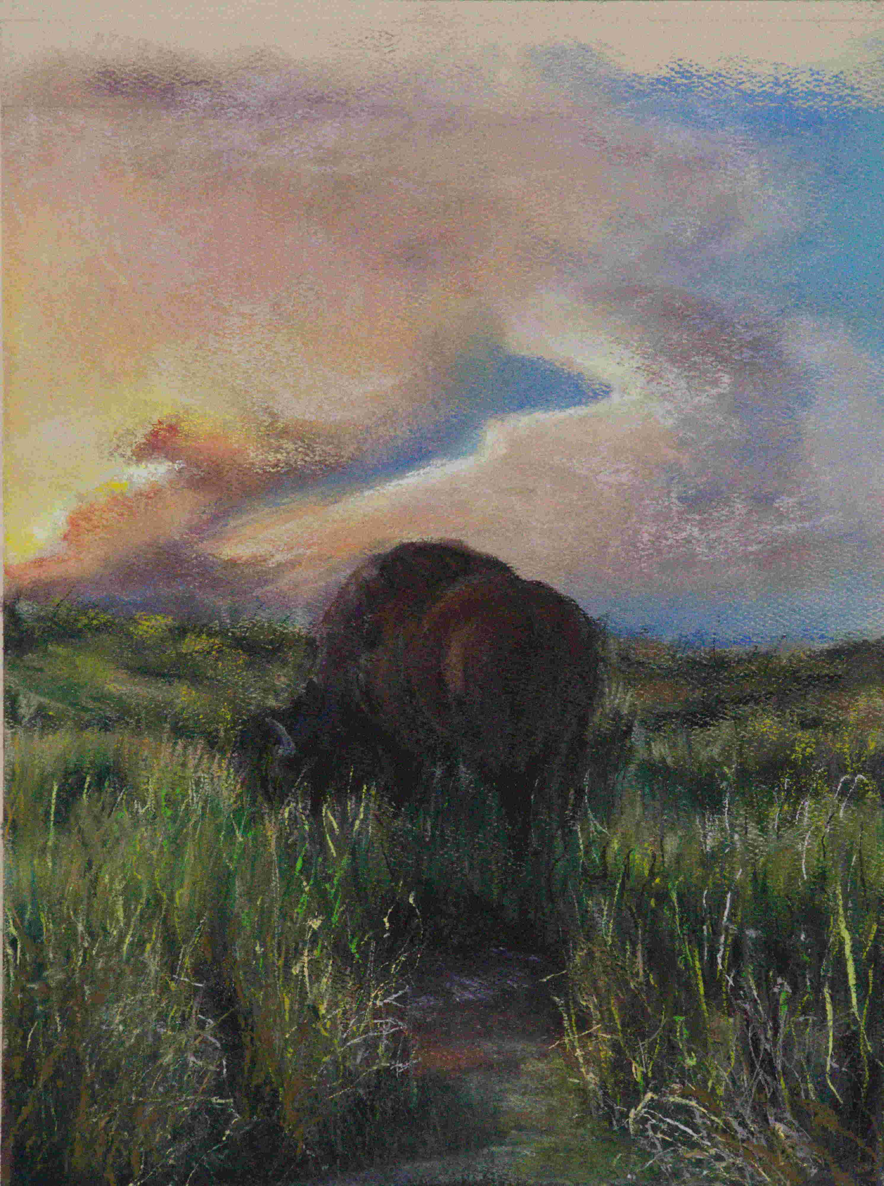 Bison Grazing at Sunset