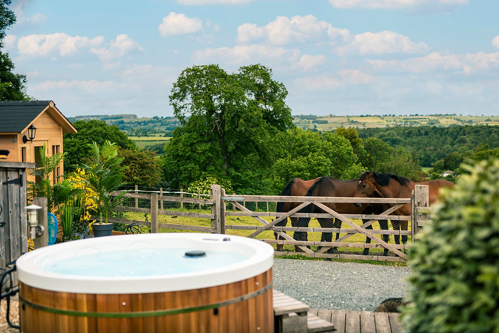Eye-level view of a luxury cottage exterior surrounded by lush greenery